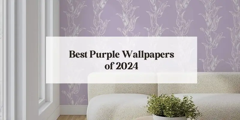 best purple wallpapers of 2024