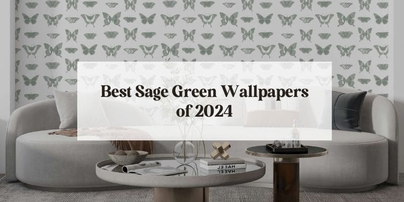 Sage green butterfly wallpaper with text overlay