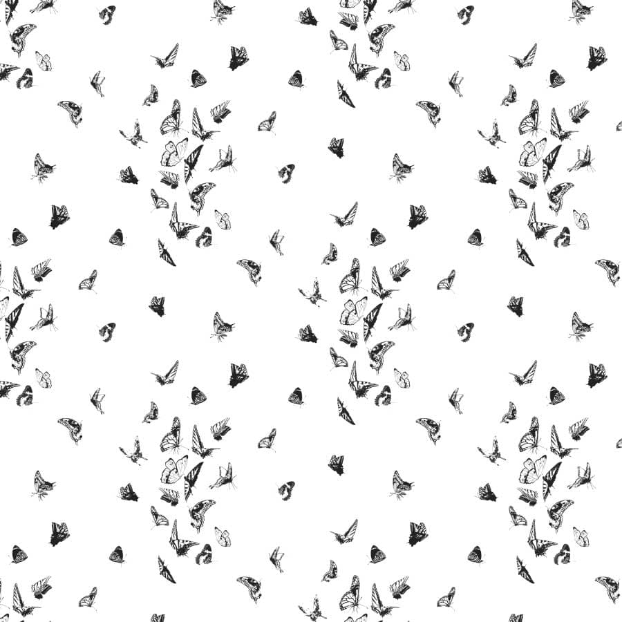Butterfly Dance Pattern in Noir