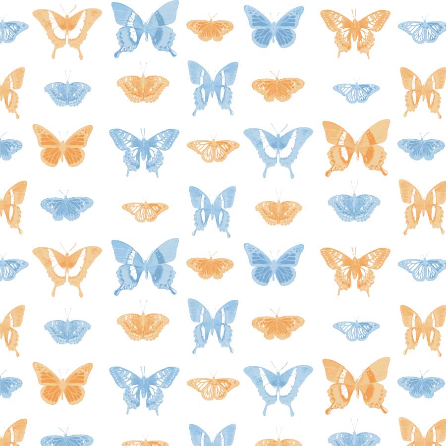 Butterfly March Pattern in Sky Sherbet